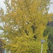 ヒメ日記 2025/12/02 14:28 投稿 りく マドンナSANSAIN