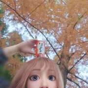 ヒメ日記 2025/12/04 10:28 投稿 りく マドンナSANSAIN