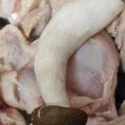 ヒメ日記 2026/01/26 21:38 投稿 りく マドンナSANSAIN