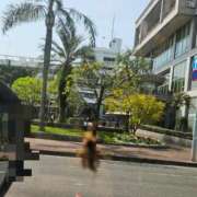 ヒメ日記 2026/03/28 11:58 投稿 りく マドンナSANSAIN