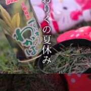 ヒメ日記 2026/08/30 09:28 投稿 りく マドンナSANSAIN