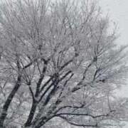 ヒメ日記 2025/03/19 10:41 投稿 きなこ やMAT撫子