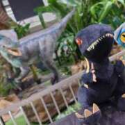 ヒメ日記 2025/05/05 17:54 投稿 きなこ やMAT撫子