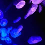 ヒメ日記 2025/05/12 11:59 投稿 きなこ やMAT撫子