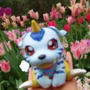 ヒメ日記 2026/04/16 14:34 投稿 きなこ やMAT撫子