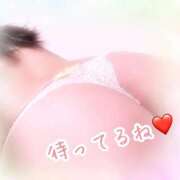 ヒメ日記 2026/01/31 14:39 投稿 せりな 池袋夢幻