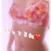 ヒメ日記 2026/02/17 14:15 投稿 せりな 池袋夢幻