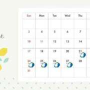 ヒメ日記 2025/08/16 15:36 投稿 すい姫 I know すい～つ 生クリームpie