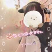 ヒメ日記 2024/12/23 00:15 投稿 ユキノお嬢様 M&m Maidとm男の夢物語。