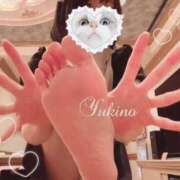 ヒメ日記 2025/01/18 12:50 投稿 ユキノお嬢様 M&m Maidとm男の夢物語。