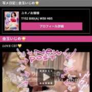 ヒメ日記 2025/03/20 12:48 投稿 ユキノお嬢様 M&m Maidとm男の夢物語。