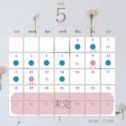 ヒメ日記 2025/04/29 12:53 投稿 ユキノお嬢様 M&m Maidとm男の夢物語。