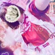 ヒメ日記 2025/05/04 12:31 投稿 ユキノお嬢様 M&m Maidとm男の夢物語。