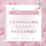 ヒメ日記 2025/12/01 00:19 投稿 ユキノお嬢様 M&m Maidとm男の夢物語。