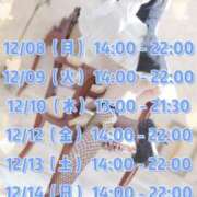 ヒメ日記 2025/12/01 21:02 投稿 ユキノお嬢様 M&m Maidとm男の夢物語。