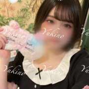 ユキノお嬢様 違法性が阻却されない M&m Maidとm男の夢物語。