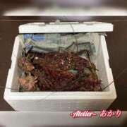 ヒメ日記 2024/12/26 21:13 投稿 あかり あとりえ(ATELIER)