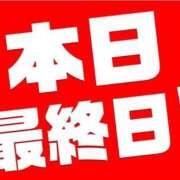 ヒメ日記 2024/12/30 06:00 投稿 あかり あとりえ(ATELIER)