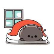 ヒメ日記 2025/02/23 06:00 投稿 あかり あとりえ(ATELIER)