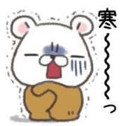 ヒメ日記 2025/03/08 06:00 投稿 あかり あとりえ(ATELIER)