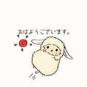 ヒメ日記 2025/03/13 06:00 投稿 あかり あとりえ(ATELIER)