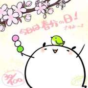 ヒメ日記 2025/03/20 06:00 投稿 あかり あとりえ(ATELIER)