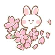 ヒメ日記 2025/03/23 06:00 投稿 あかり あとりえ(ATELIER)