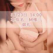 ヒメ日記 2025/03/25 09:15 投稿 あかり あとりえ(ATELIER)