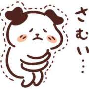 ヒメ日記 2025/03/30 06:00 投稿 あかり あとりえ(ATELIER)