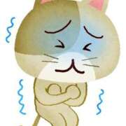 ヒメ日記 2025/03/31 06:00 投稿 あかり あとりえ(ATELIER)