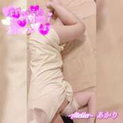 ヒメ日記 2025/04/07 09:30 投稿 あかり あとりえ(ATELIER)