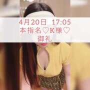 ヒメ日記 2025/04/22 09:15 投稿 あかり あとりえ(ATELIER)