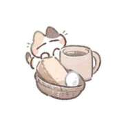 ヒメ日記 2025/04/29 06:00 投稿 あかり あとりえ(ATELIER)