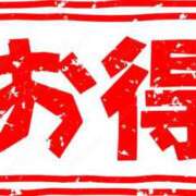 ヒメ日記 2025/05/27 17:37 投稿 あかり あとりえ(ATELIER)