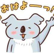 ヒメ日記 2025/05/28 06:00 投稿 あかり あとりえ(ATELIER)