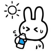 ヒメ日記 2025/06/05 06:00 投稿 あかり あとりえ(ATELIER)