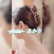 ヒメ日記 2025/06/08 09:30 投稿 あかり あとりえ(ATELIER)