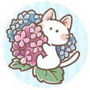 ヒメ日記 2025/06/14 06:00 投稿 あかり あとりえ(ATELIER)