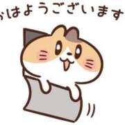 ヒメ日記 2025/06/15 06:00 投稿 あかり あとりえ(ATELIER)