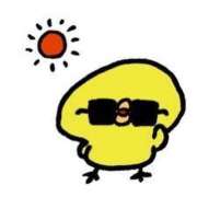 ヒメ日記 2025/06/17 06:00 投稿 あかり あとりえ(ATELIER)