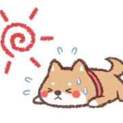 ヒメ日記 2025/07/04 06:00 投稿 あかり あとりえ(ATELIER)