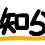 ヒメ日記 2025/08/01 19:30 投稿 あかり あとりえ(ATELIER)