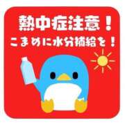 ヒメ日記 2025/08/06 06:00 投稿 あかり あとりえ(ATELIER)