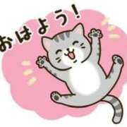 ヒメ日記 2025/09/07 06:00 投稿 あかり あとりえ(ATELIER)