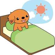 ヒメ日記 2025/09/27 06:00 投稿 あかり あとりえ(ATELIER)