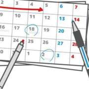 ヒメ日記 2025/10/01 09:30 投稿 あかり あとりえ(ATELIER)