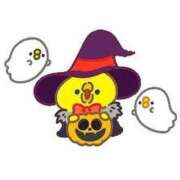 ヒメ日記 2025/10/12 09:30 投稿 あかり あとりえ(ATELIER)