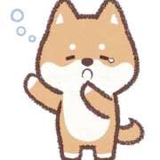 ヒメ日記 2025/10/18 06:00 投稿 あかり あとりえ(ATELIER)