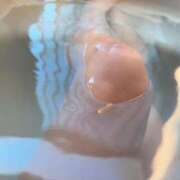 ヒメ日記 2025/10/23 06:00 投稿 あかり あとりえ(ATELIER)