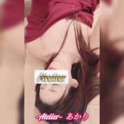 ヒメ日記 2025/11/27 09:30 投稿 あかり あとりえ(ATELIER)